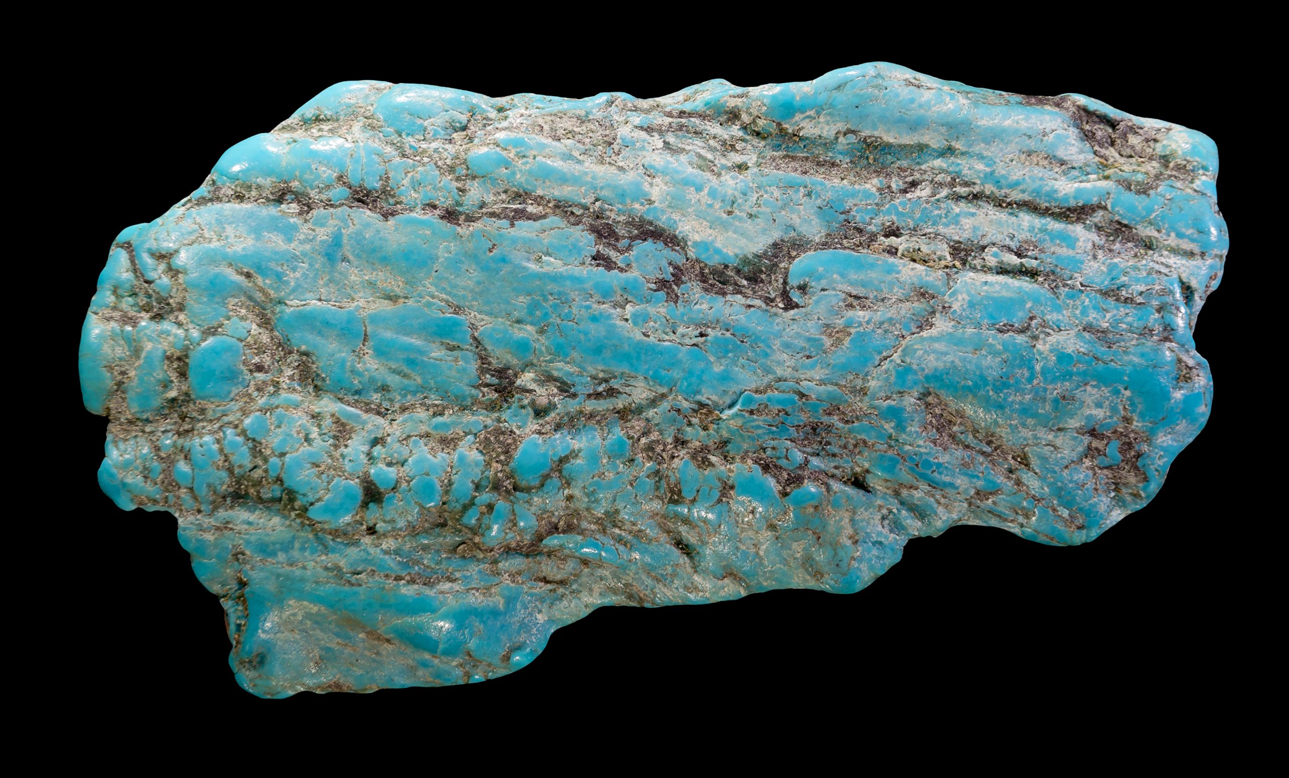 Blue-dyed howlite slab with gray and brown veining against a black background.